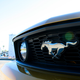 Illustration for article titled New Ford Mustang GT, Live From LA